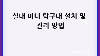 집에서 즐기는 미니 탁구! 실내 미니탁탁구대 완벽 가이드